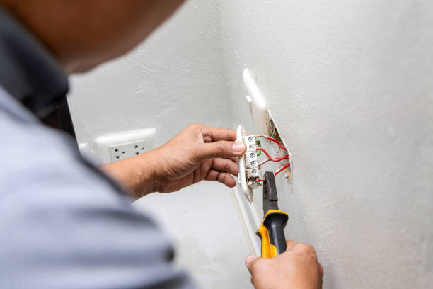 Best Electrical Repair Services  in Sparta, MI